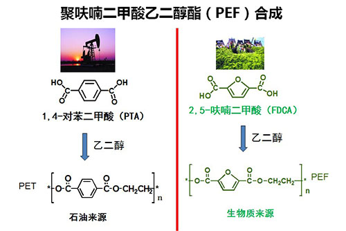 主流聚酯工厂成交气氛整体一般 乙二醇承压回调