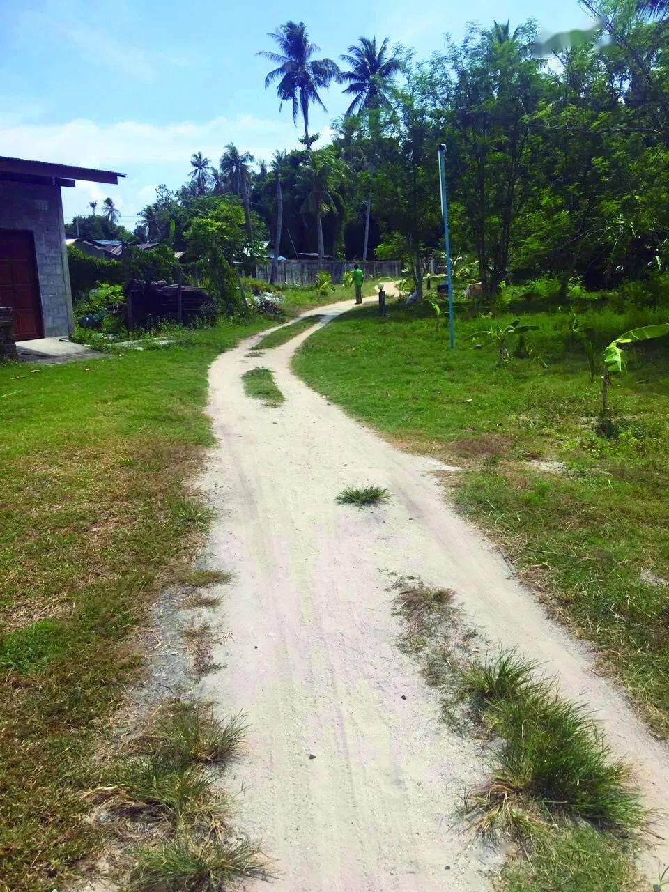 “雪龙”返航 满载而归